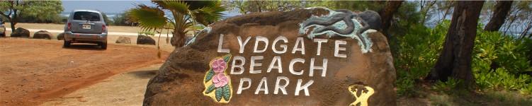 lydgate beach park kauai